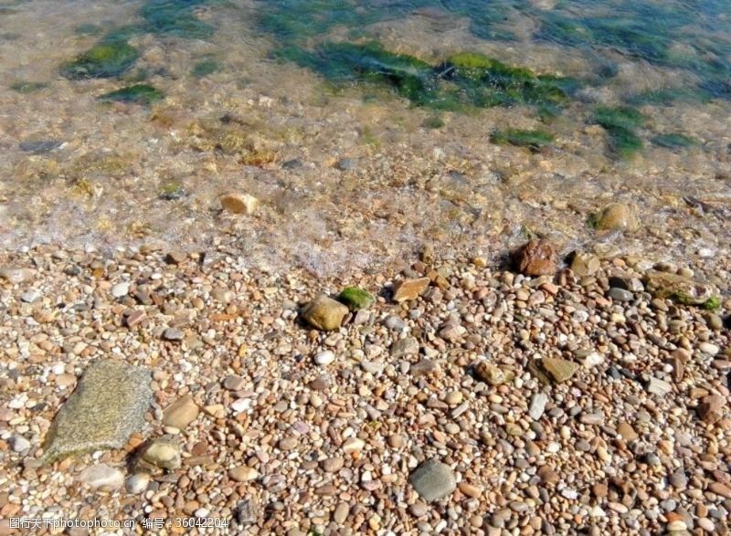 绿色海藻借助石头逃脱的海藻