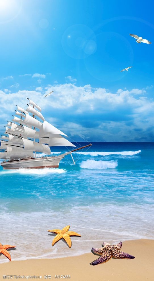 大海海边帆船沙滩海星海鸥蓝天