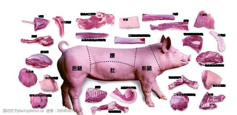卡通野猪猪肉分布