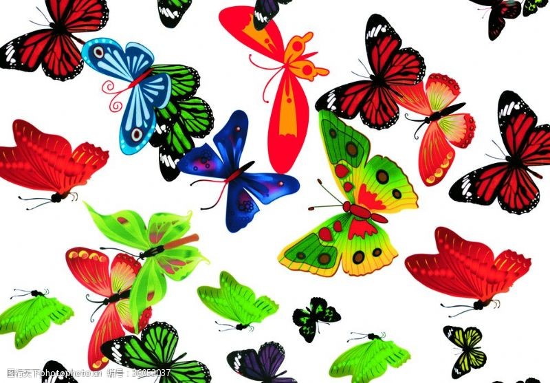 多种图案蝴蝶