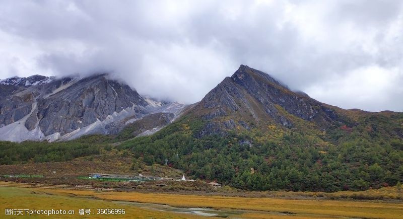 白榉色亚丁山