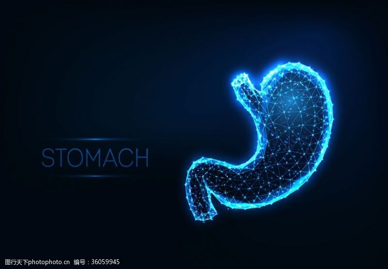 人体器官图科技胃部