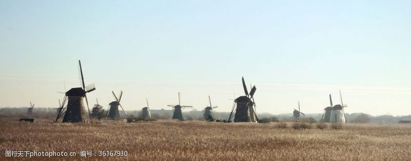 米兰春天荷兰风车