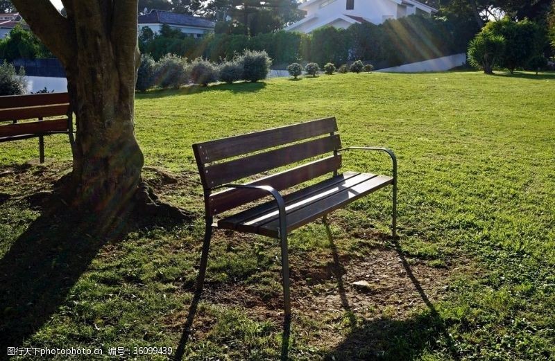 椅子壁纸园林的长凳
