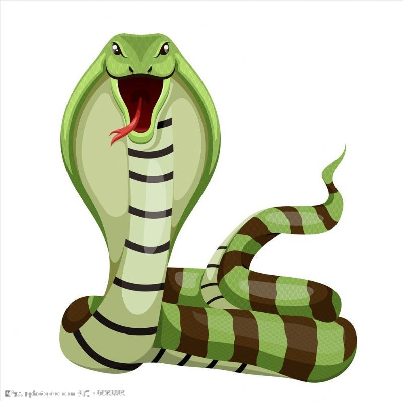蛇年素材眼镜蛇