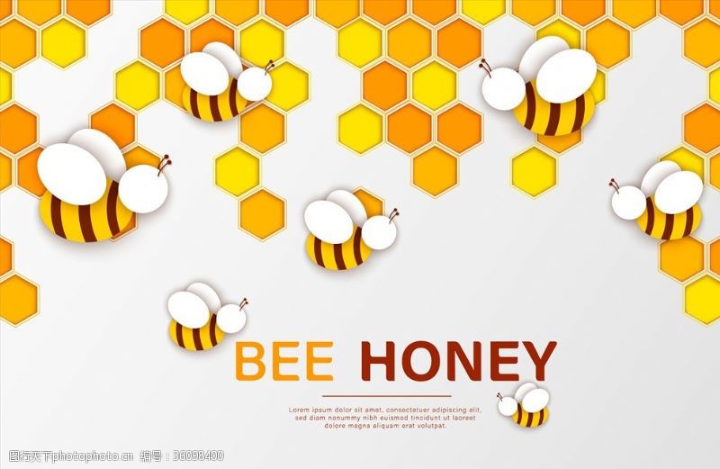 蜂蜜标签矢量蜂蜜背景