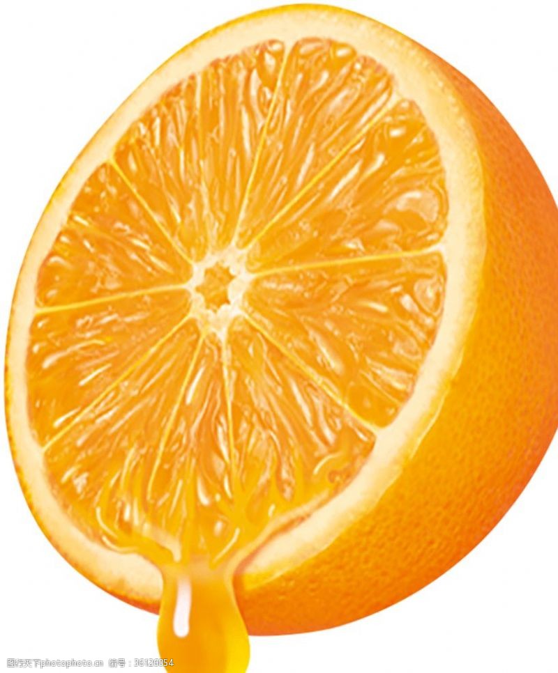 橙子切片素材橙子