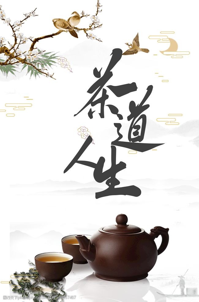 武夷山品茶