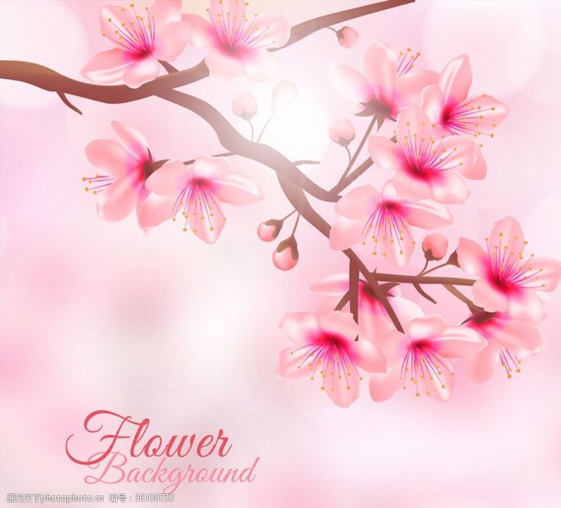 阳光下的粉色樱花创意阳光下的粉色花枝