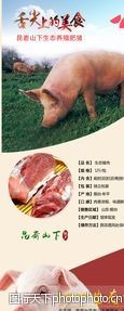 产品描述猪肉详情