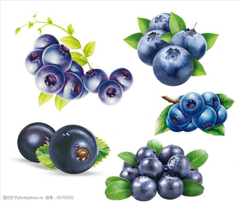 果蔬包装箱蓝莓素材