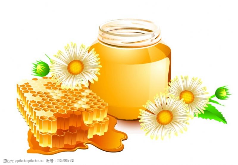 卡通蜂蜜罐采蜂蜜的蜜蜂
