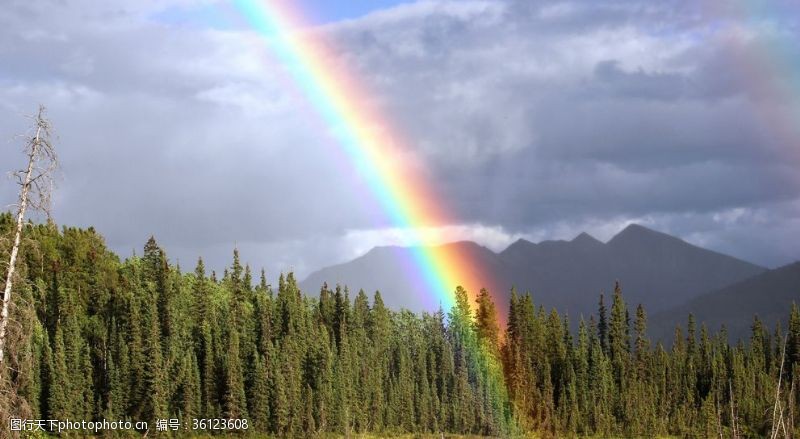 奇妙自然美丽的彩虹