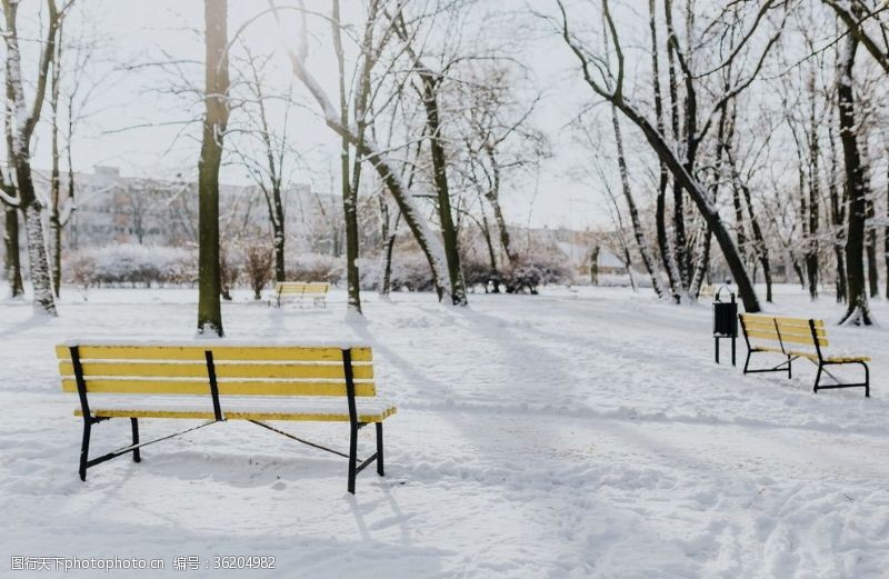 公园景观雪后的公园摄影