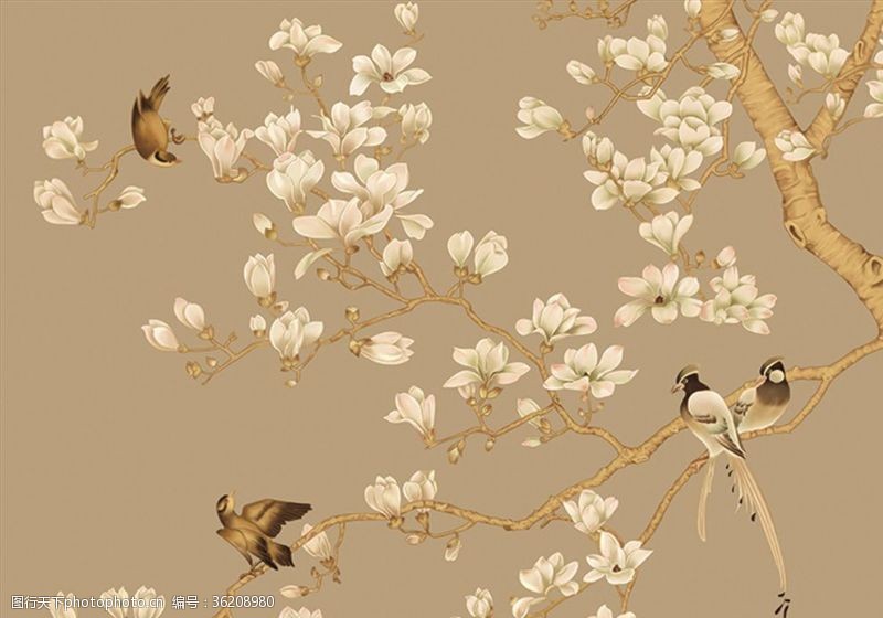 中式花鸟玉兰壁纸