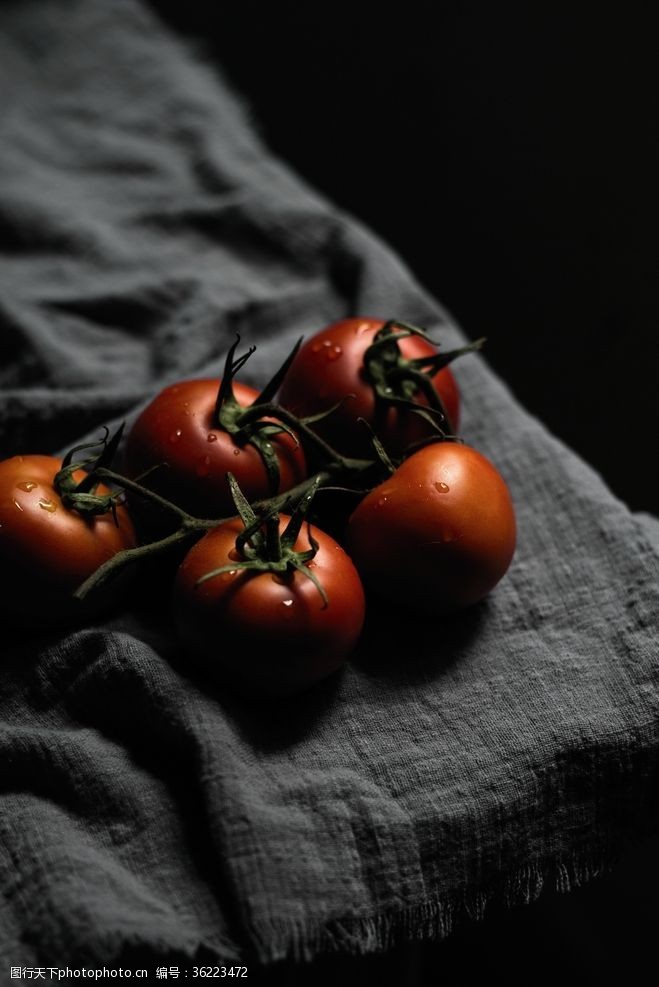 植被沙发西红柿