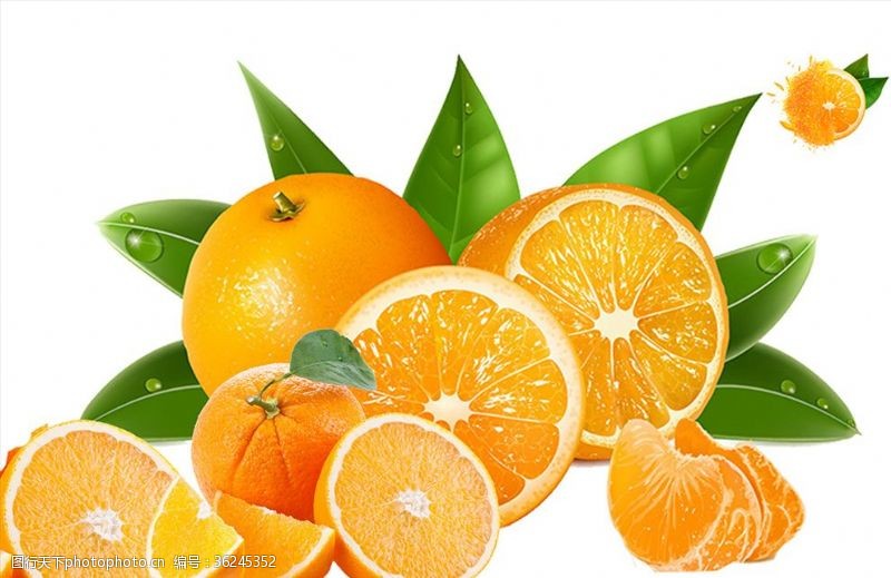 橙子切片素材橙子