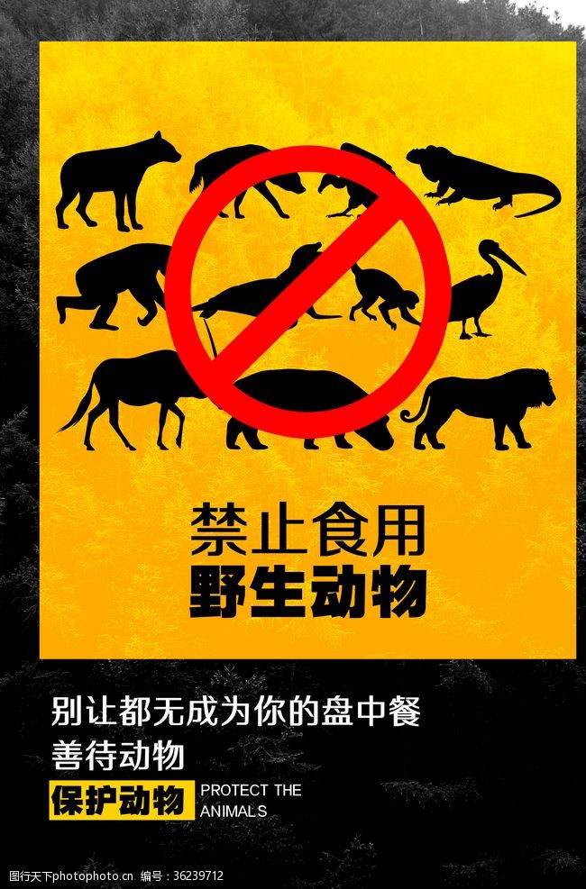 爱护自然禁止使用野生动物