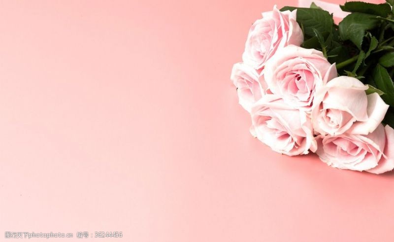 甜美春季女装海报粉色玫瑰