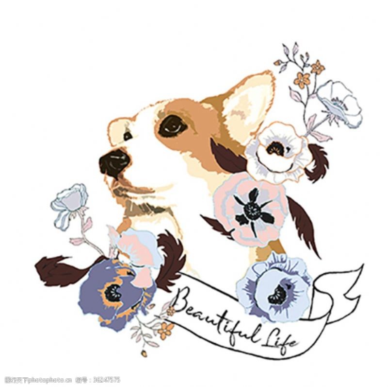 手绘素描字母柯基犬动物T恤印花图案