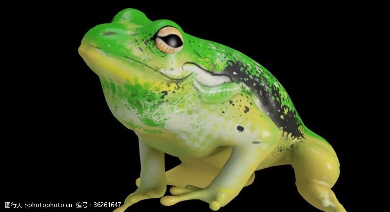绿色青蛙一只青蛙