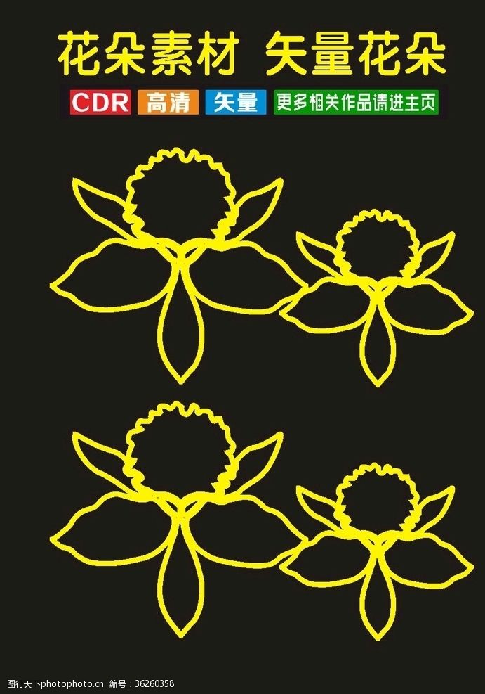 春节插图原创中国传统插花花卉cdr