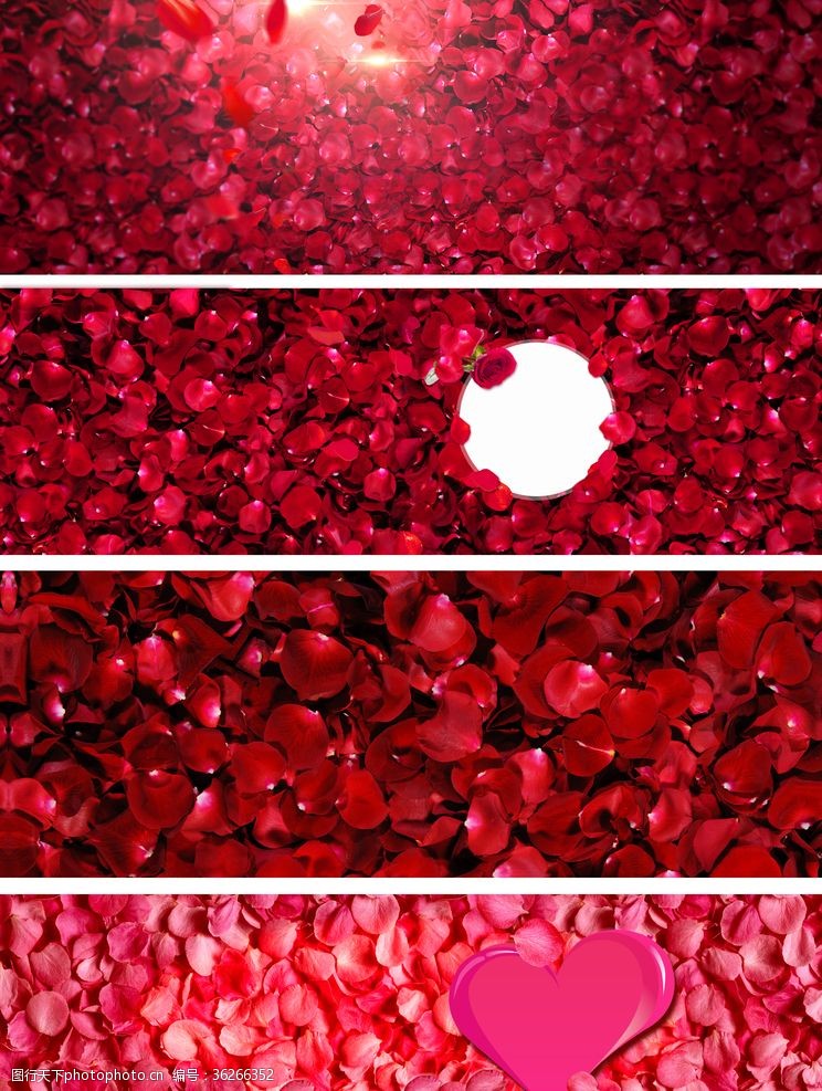 玫瑰花模板下载红色玫瑰花