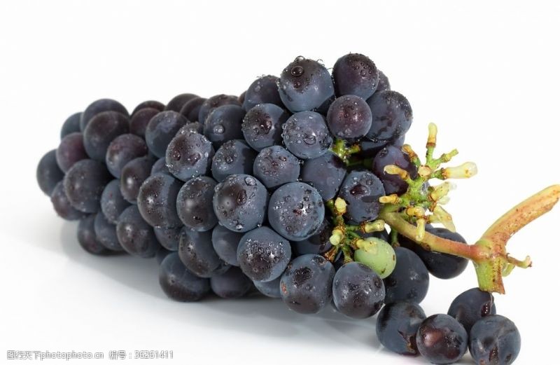 进口水果葡萄