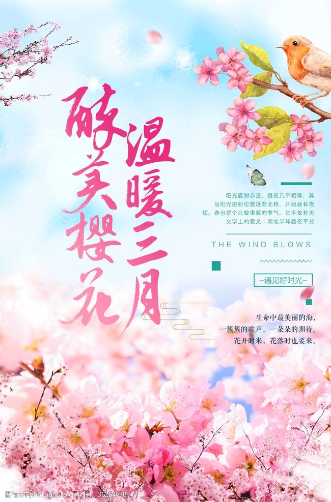 日本旅游海报樱花海报