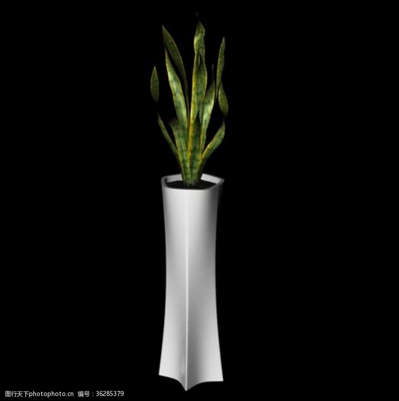 花草3d模型花草模型植物模型花卉模型