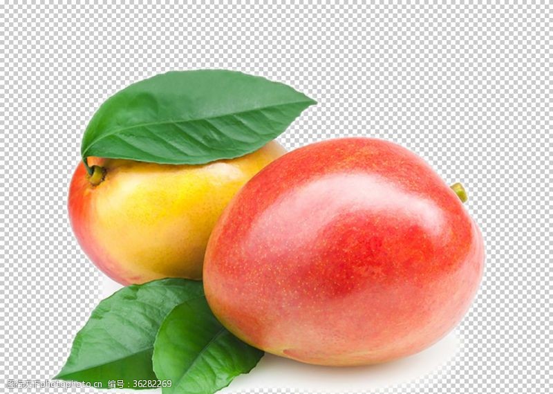油桃展板油桃