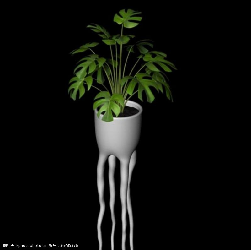花草3d模型花草模型植物模型花卉模型