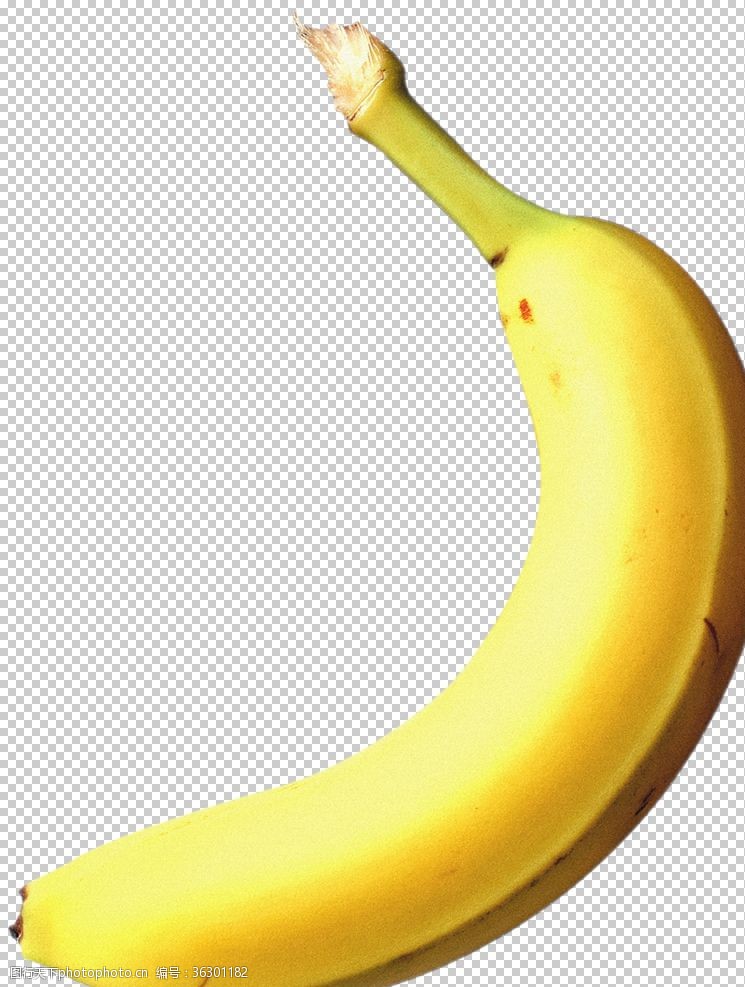 水果挂画香蕉