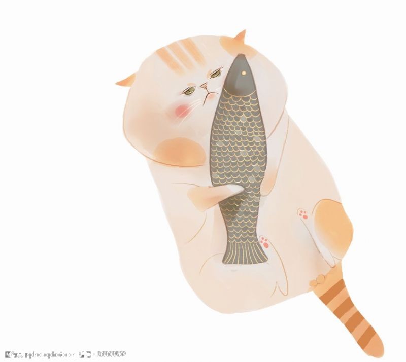加菲猫橘猫抱鱼