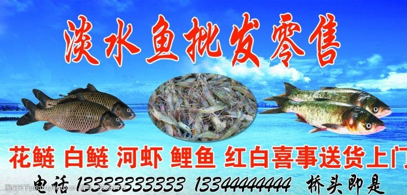 鱼淡水鱼虾河鱼