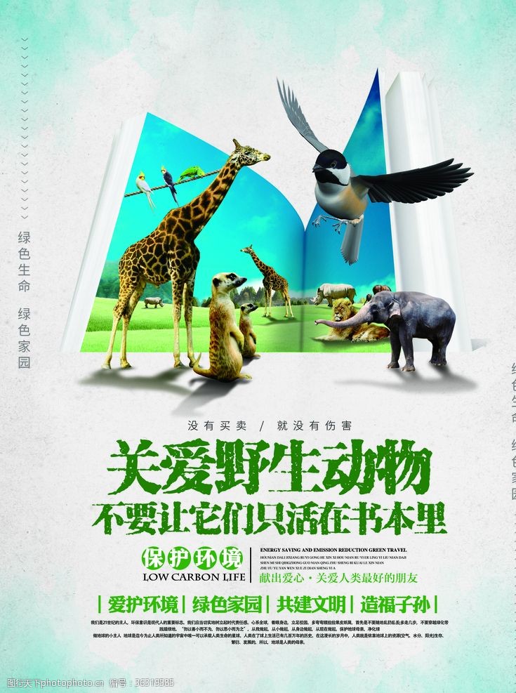 爱护自然动物园海报