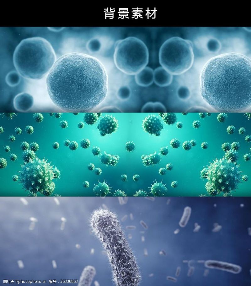 卫生防疫细菌微生物病毒