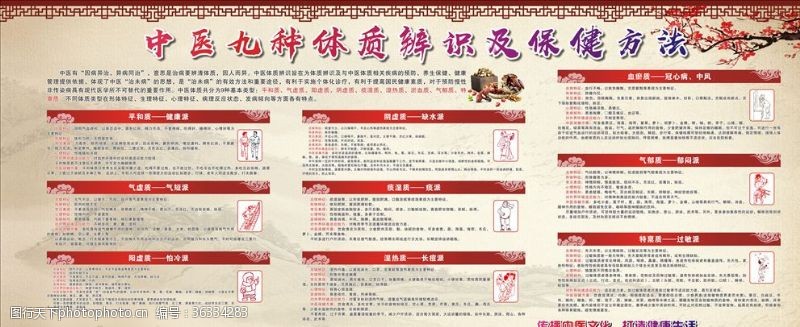 中医体质辨识九种体质宣传栏