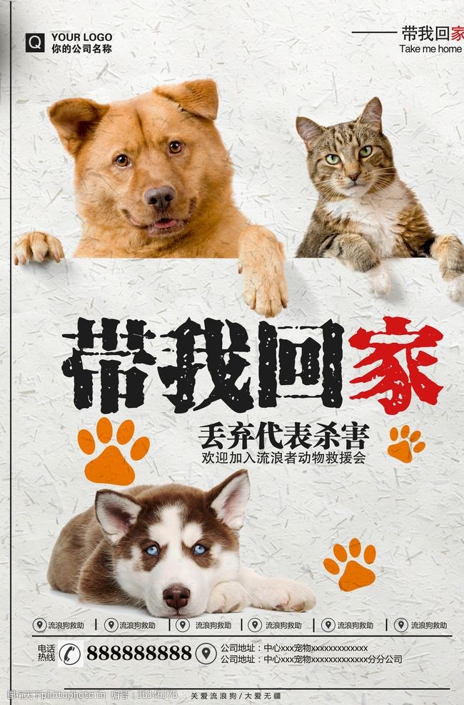 宠物生活馆流浪宠物领养海报