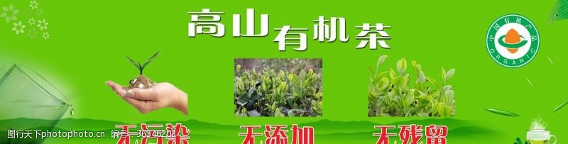 紫砂壶高山有机茶