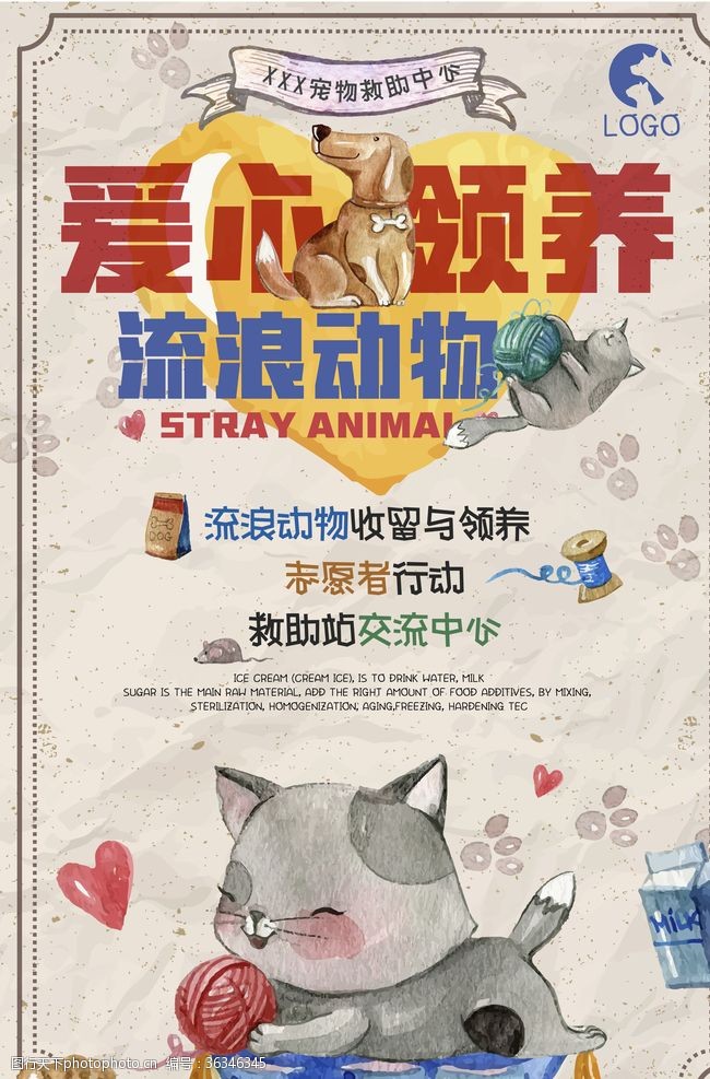 宠物店会员日流浪动物领养公益海报