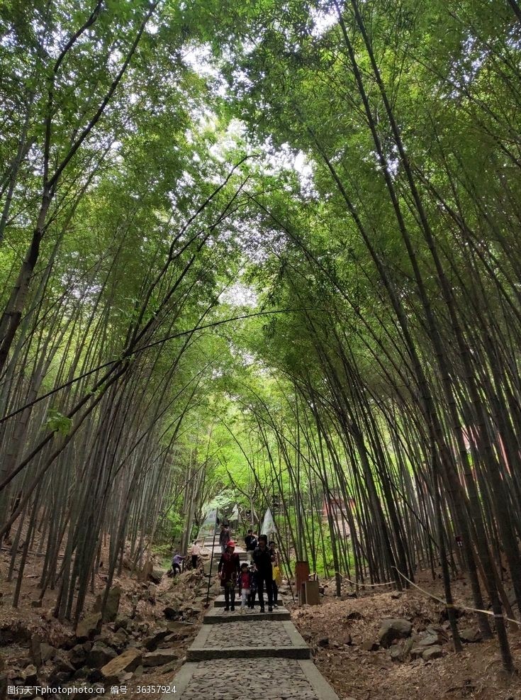 徒步登山翠竹