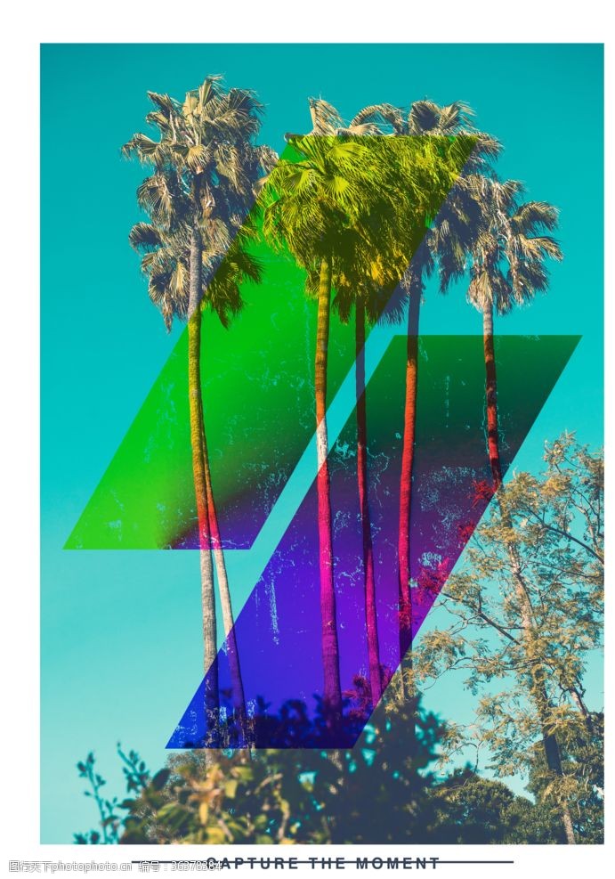 夸张背景海报彩色椰子树摄影潮流艺术海报