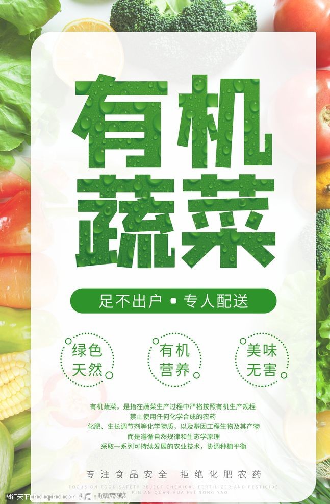 蔬菜海报有机蔬菜