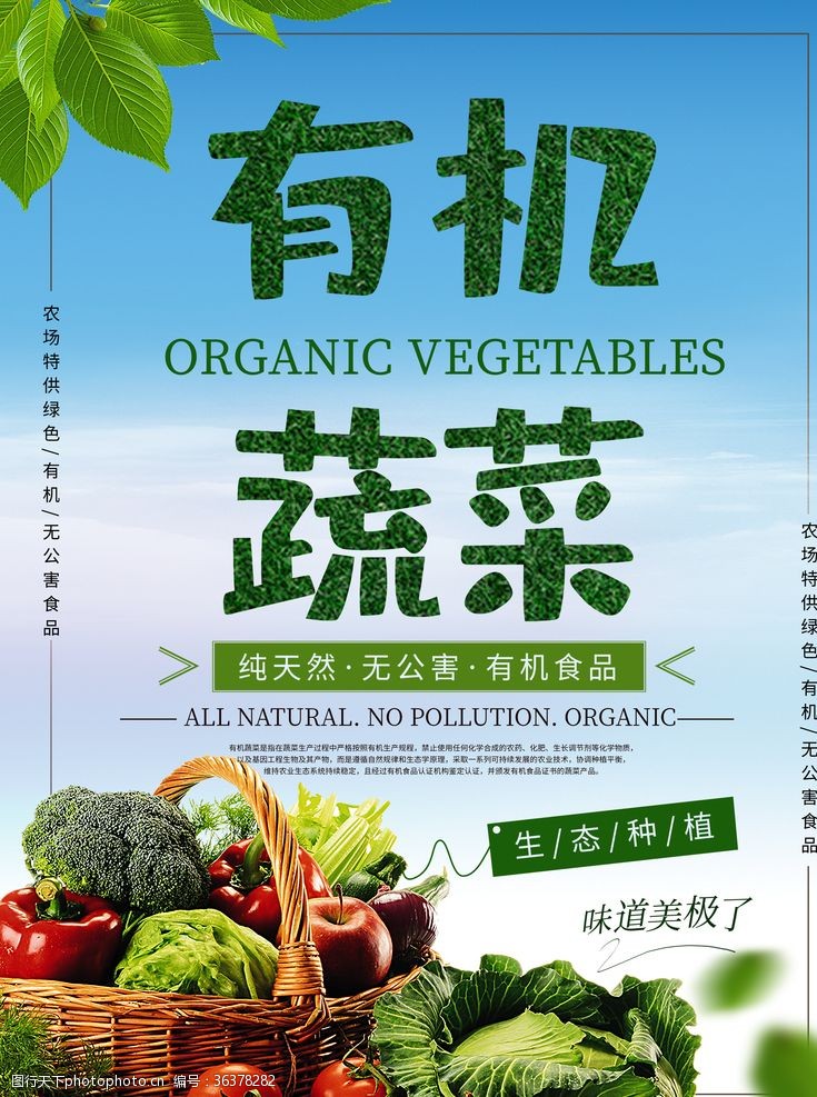 蔬菜海报有机蔬菜