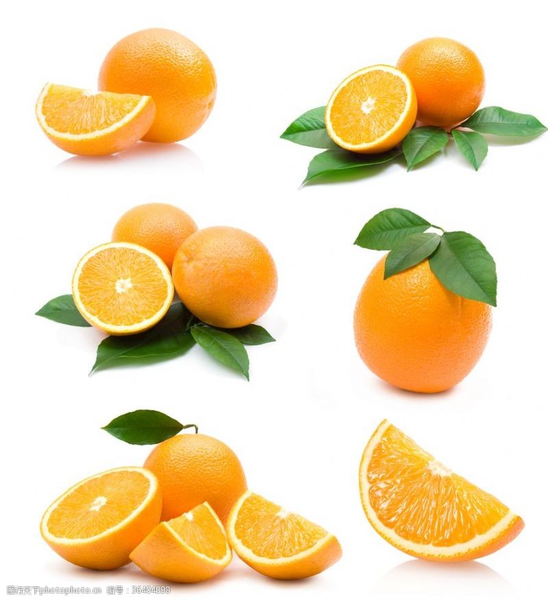 樱花展架橙子
