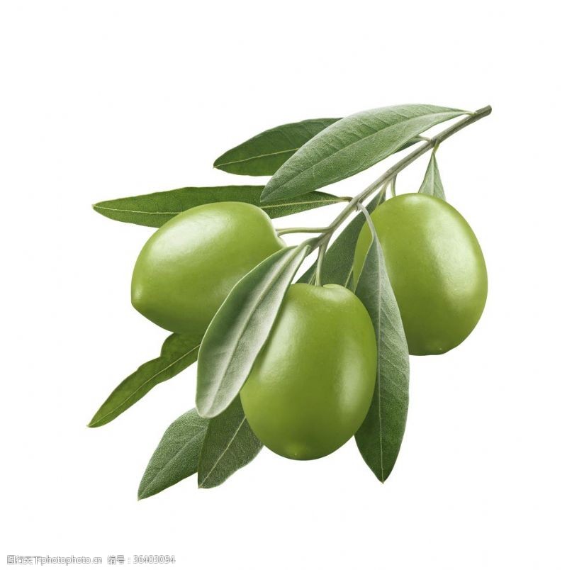 油桃展板橄榄