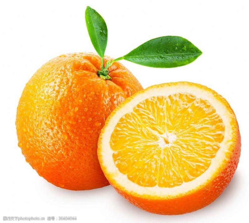 樱花展架橙子