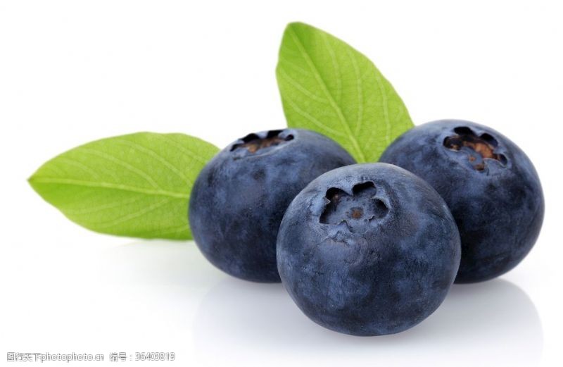 哈密瓜广告蓝莓