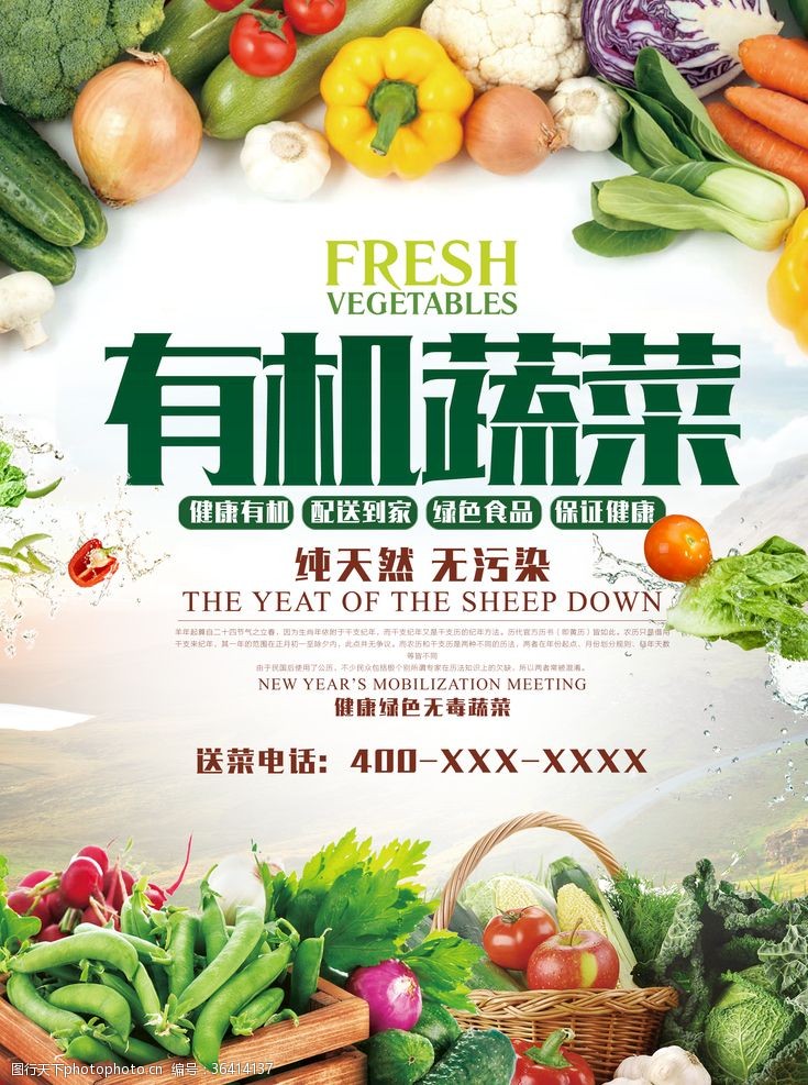 无污染宣传海报蔬菜